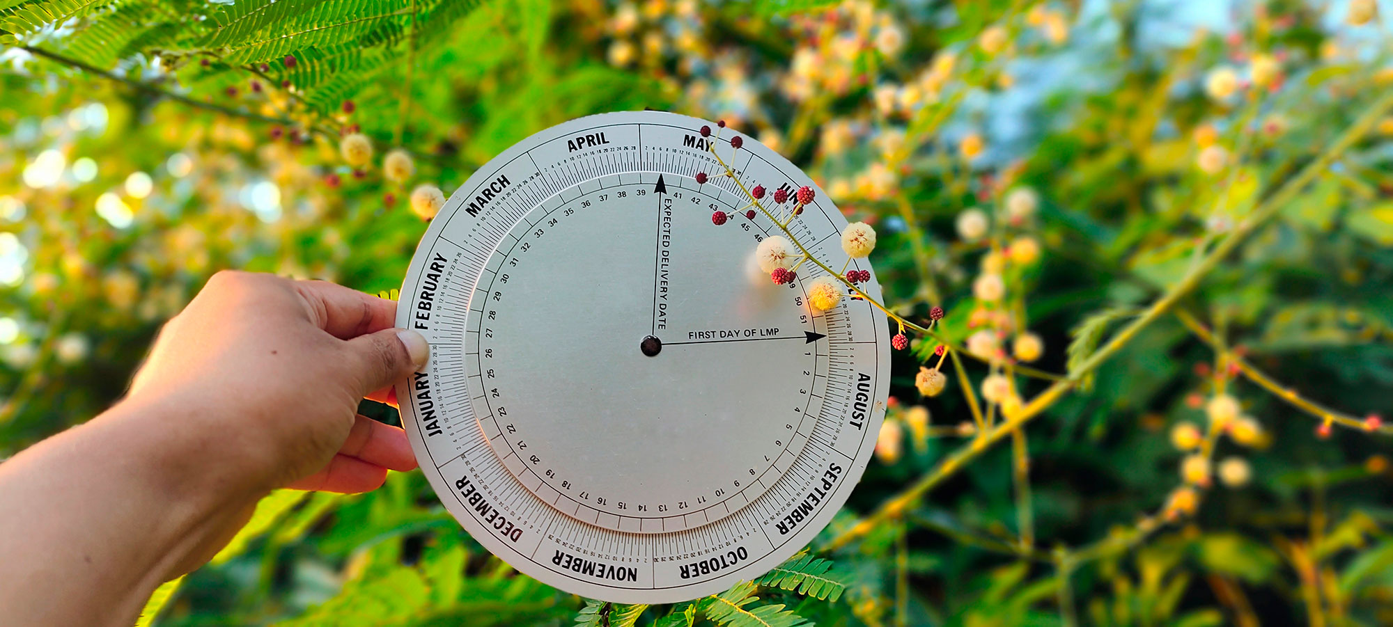 Как выучить с ребенком названия месяцев года