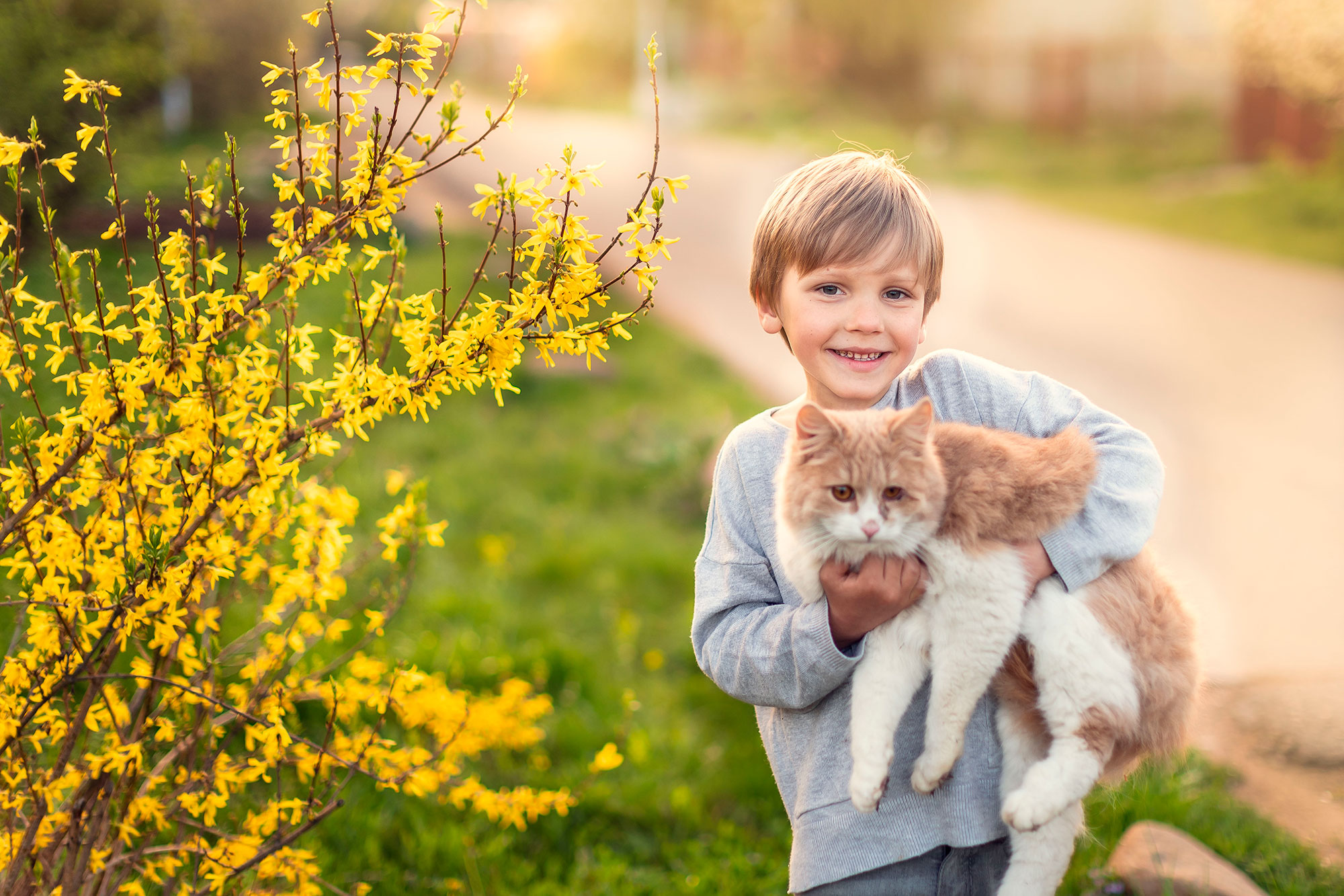 Кризис 7 лет у детей