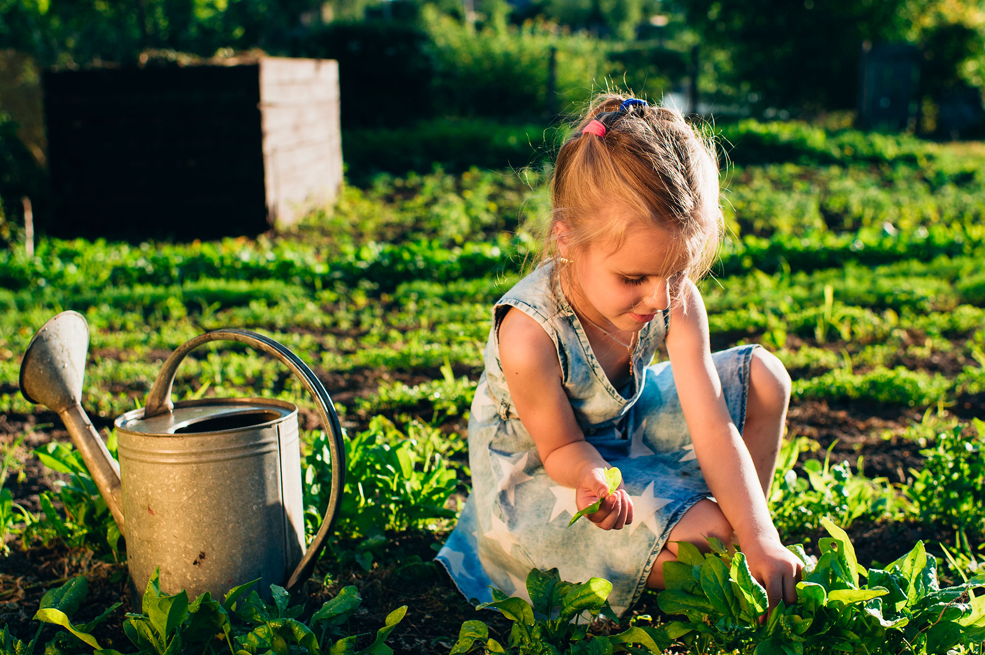 Мальчики и девочки – отличия подхода к воспитанию