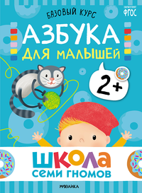 Годовой базовый курс